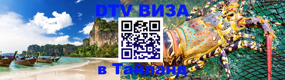 Сколько стоит DTV виза — актуальные цены, оформление даже без документов - 04.12.2025 
